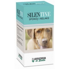 DR SEIDEL SilenTine, 60 tabl.