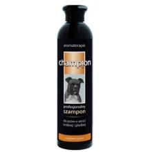 CHAMPION Szampon do sierści krótkiej i gładkiej, 250ml