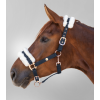 Kantar Modern Rose night blue/rosegold Waldhausen 24H!