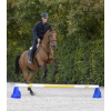Bloczki Cavaletti blue Waldhausen