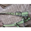 Kantar EVERYDAY, two-tone pistachio/silver-grey USG 24H!