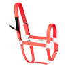 Kantar Safety red Walhausen