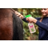AANTI-ITCH PREPARAT PRZECIW SWĘDZENIU I WYCIERANIU SIERŚCI, 500ml Parisol 24H!