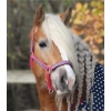 Kantar z uwiązem UNICORN Waldhausen 24H!