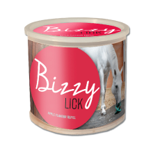 Lizawka Bizzy Horse