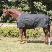 Derka dla ogiera Stallion 200g black Kavalkade