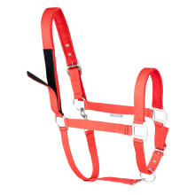Kantar Safety red Walhausen
