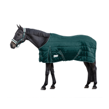 Derka stajenna Economic fir green 200g WALDHAUSEN