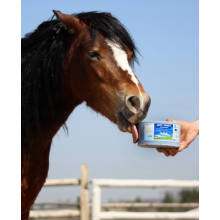 Lizawka ANTI INSECT ACERBIPHARMA 3kg 24H!