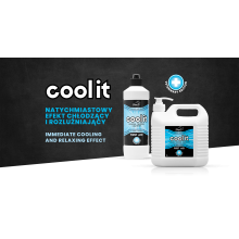 Żel chłodzący Cool It 3l Jump It