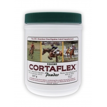 Cortaflex HA Regular Powder (zapas na 1 m-c), 250g