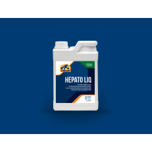 HEPATO LIQ, CAVALOR 2L