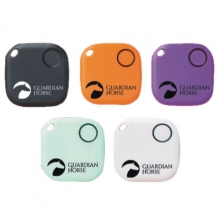 Guardian Horse Accident Tracker USG