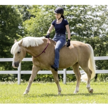 Cordeo navy/red USG