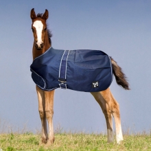 Derka padokowa Foal 100g Horsenjoy