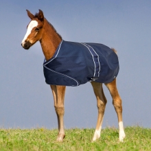 Derka padokowa Foal 100g Horsenjoy