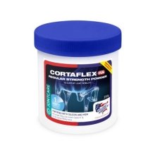Preparat HA Regular Strength Powder 250g Cortaflex
