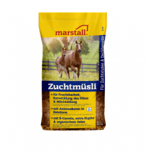 Pasza dla koni hodowlanych Zuchtmusli Marstall