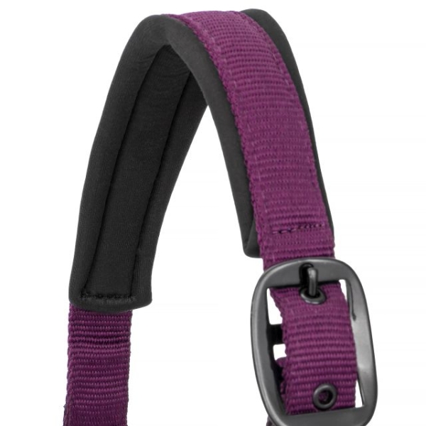 Kantar Start Neoprene Glitter purple