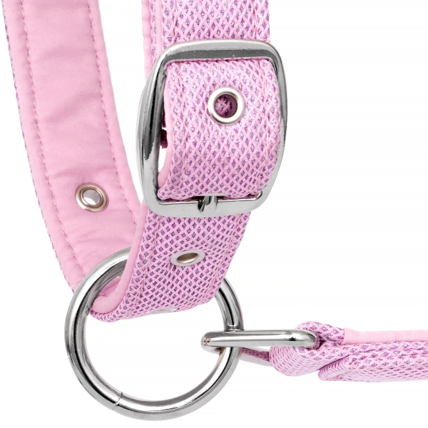 Kantar Rotterdam orchid pink EQ.QUEEN 25SS