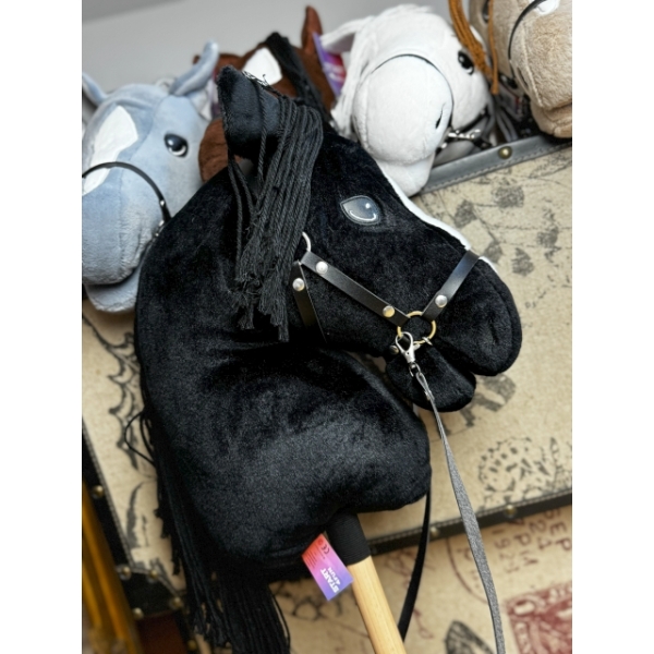 Konik Hobby Horse BlackyBenny Start