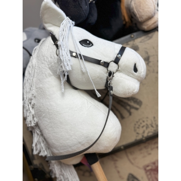 Konik Hobby Horse WhiteWillow Start