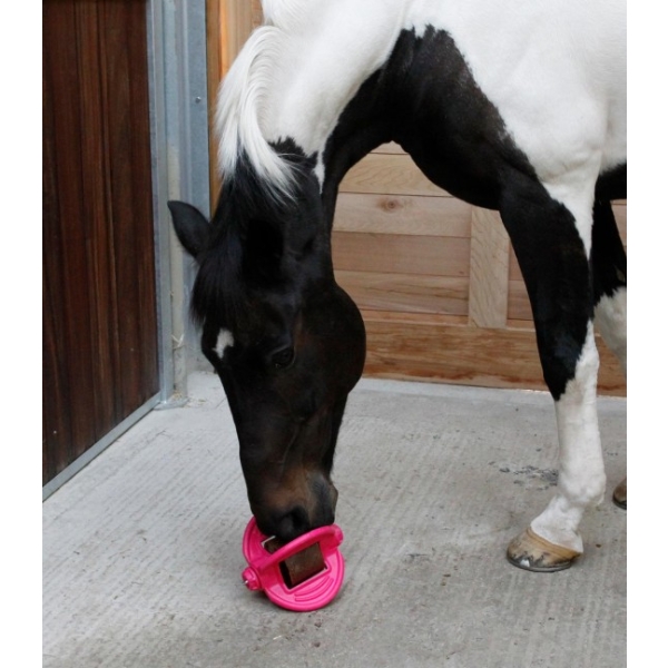 Zawieszka do lizawek Bizzy Horse