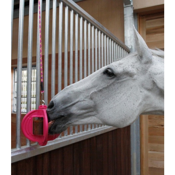 Zawieszka do lizawek Bizzy Horse