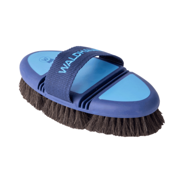 Szczotka Body Brush Flex azure blue/blue Waldhausen