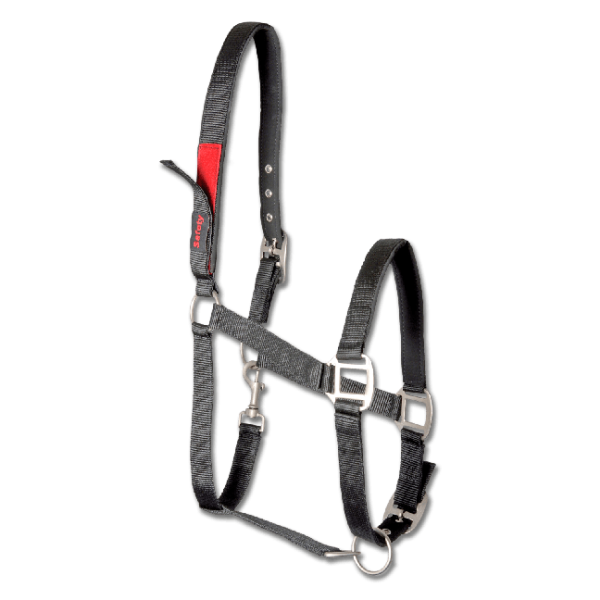 Kantar Safety black Walhausen