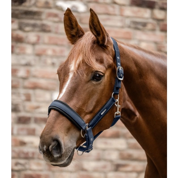 Kantar Breath night blue WALDHAUSEN