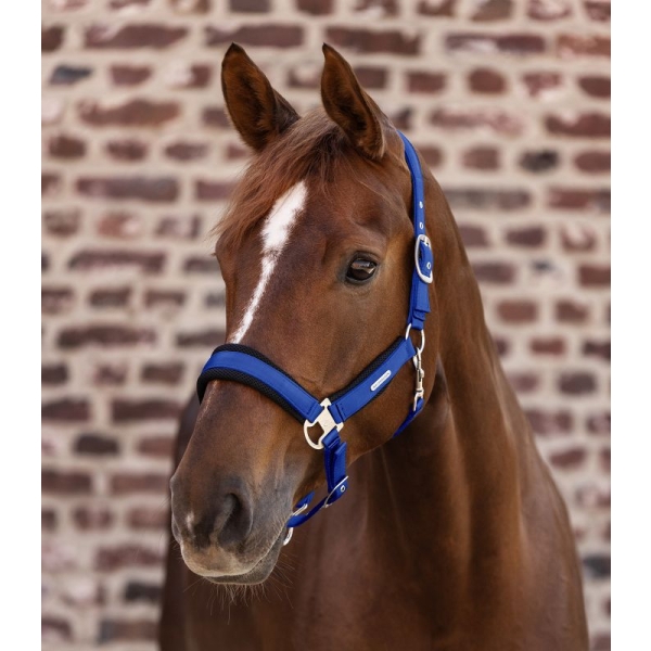 Kantar Breath saphire blue WALDHAUSEN
