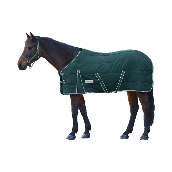 Derka stajenna Economic fir green 100g Waldhausen 24h!