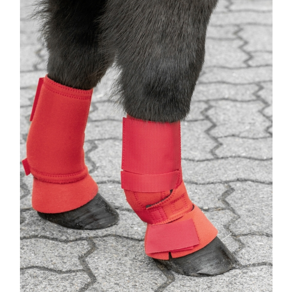 Kaloszki neoprenowe red Shetty Usg