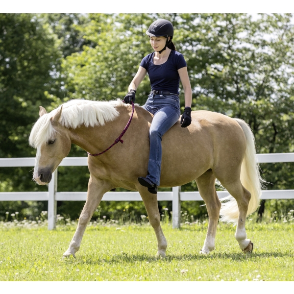 Cordeo navy/red USG