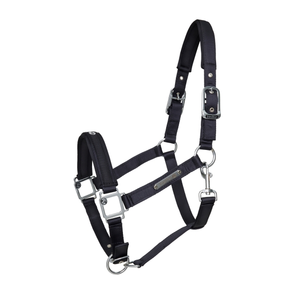 Kantar Satin Shine black Kieffer